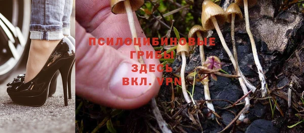 мет Абинск
