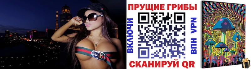 Галлюциногенные грибы Psilocybine cubensis  Задонск 